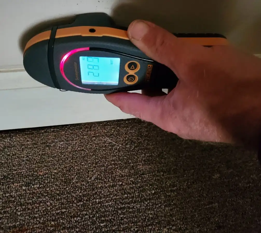 Moisture detection at baseboard during Sewage Cleanup & Sanitation in Holly Springs